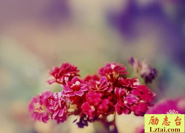 人生且行且珍惜的感悟生活语录：相信明天会更好