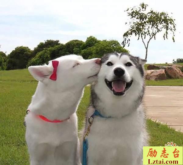 2019特别皮的微信搞笑说说逗比语录大全