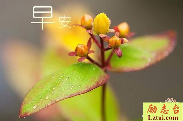 星期六早安正能量语录激励自我的句子说说大全