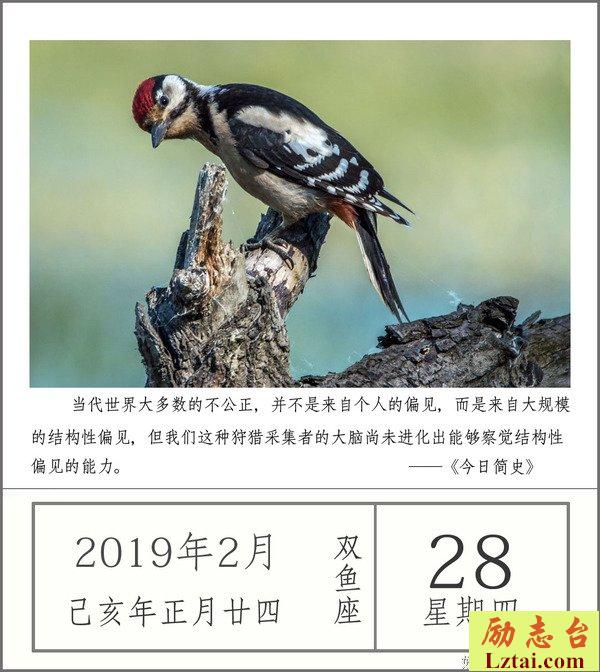 眼界
