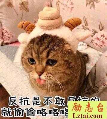 表情包 拿去撩你的小哥哥小妹妹