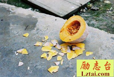 吾心安处是故乡