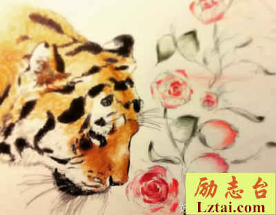 有一只猛虎细嗅着蔷薇（文/纳兰泽芸）