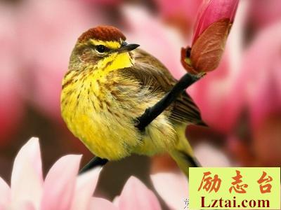 情歌王子祁隆最美的3首情歌，送给你爱的人！