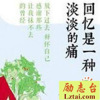 回忆是一种淡淡的痛读后感精选4篇
