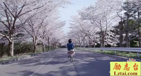 海街日记观后感800字欣赏