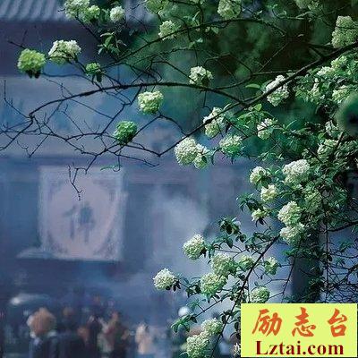 愿人生，坦然如水