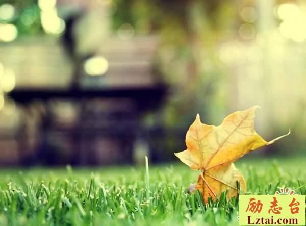 人生要为自己而活的生活感悟语录：只要不断挑战，世界总会给你让步