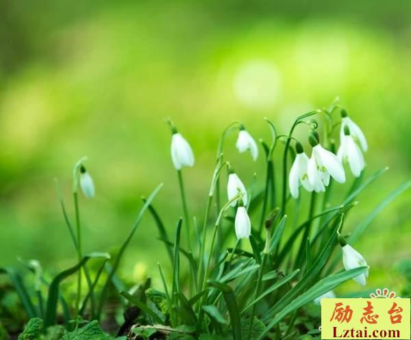 生活很现实的说说感悟语录：愿千帆过尽终不悔，归来仍是此间少年