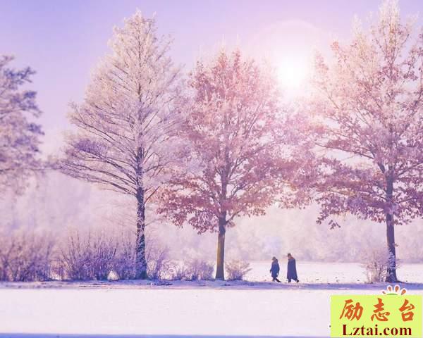 2019最火的微信个性签名大全