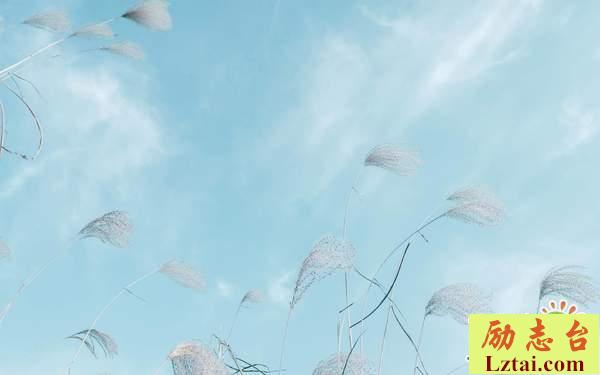 阳光积极向上的的早安励志语录：永远年轻，永远热泪盈