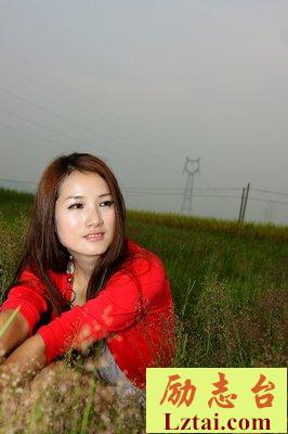 求死的蚂蚁