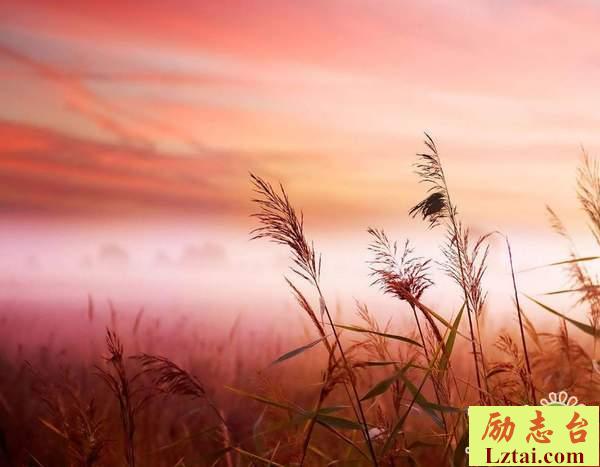 我终于可以不再爱你了伤感爱情语录：我愿尽一生所能给你幸福