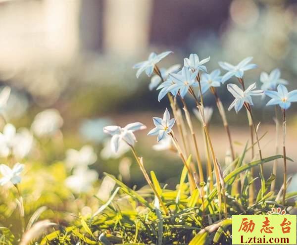 慢慢忘记一个人的说说心情语录：希望你遇到的所有人没有一点点像我