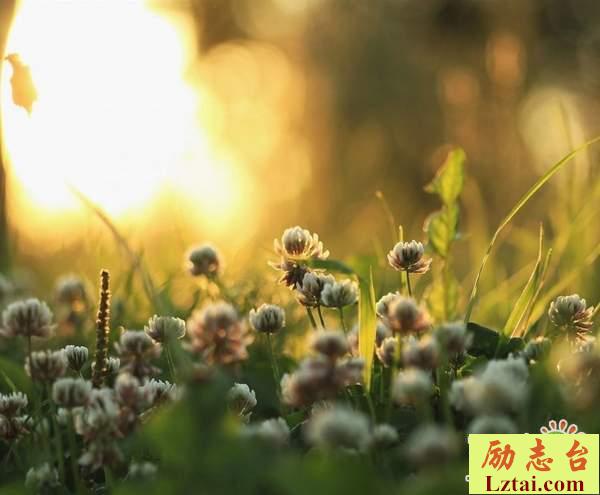 慢慢忘记一个人的说说心情语录：希望你遇到的所有人没有一点点像我