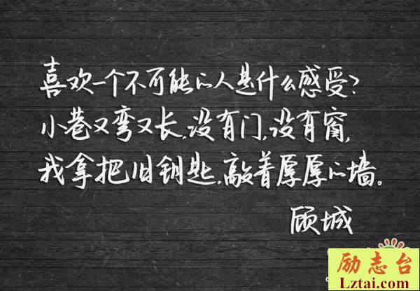 顾城经典诗句合集