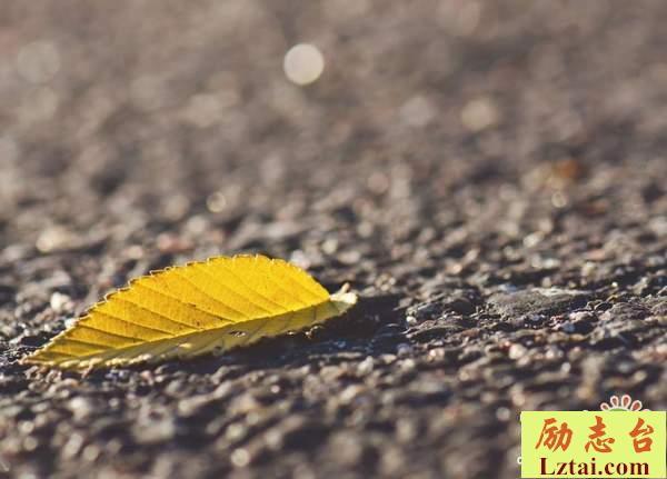 我还是很喜欢你的爱情经典语录：你的对不起，我却没法开口说没关系
