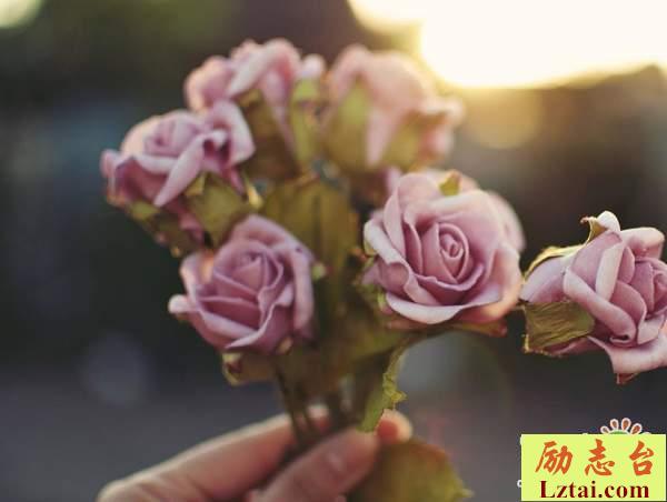 我还是很喜欢你的爱情经典语录：你的对不起，我却没法开口说没关系