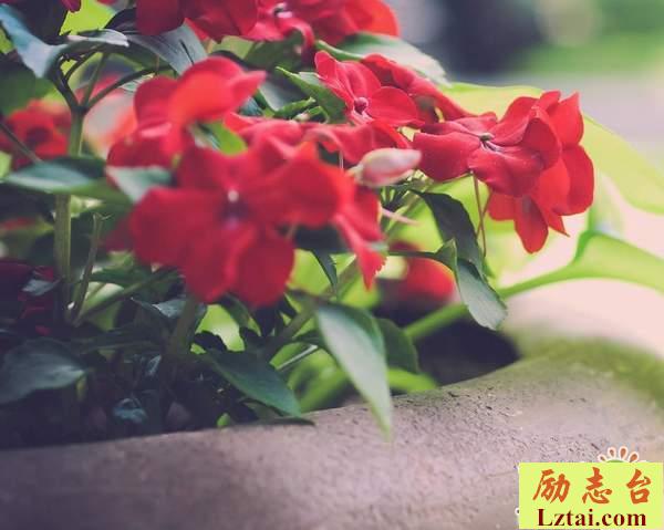 我还是很喜欢你的爱情经典语录：你的对不起，我却没法开口说没关系