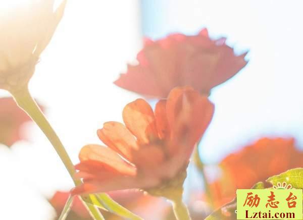 挥手告别过去的人生情感语录说说：重拾勇气，明天你好