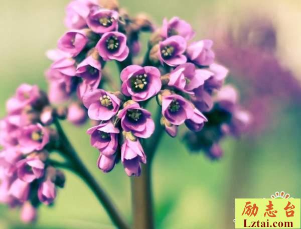 挥手告别过去的人生情感语录说说：重拾勇气，明天你好
