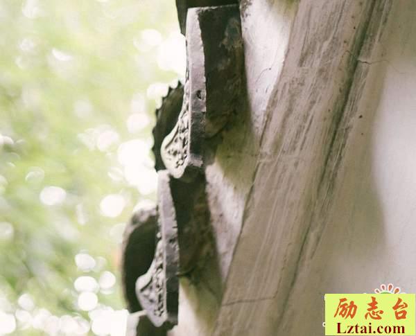 想要放弃的说说心酸情感语录：哪怕没有结果，也愿去慢慢走完这段心酸