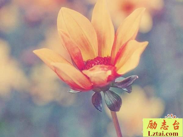 那些回不去的时光句子经典情感语录说说大全