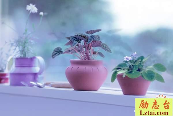 晚安心语致自己的一句人生感悟语录：活好一生才是最重要的