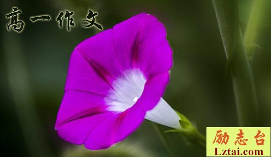 如果高一作文 图1