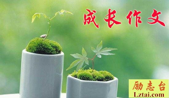成长之路高一作文900字 图1