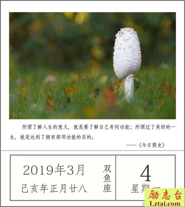日积月累