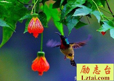 不要总想着向外寻求摆脱烦恼的方法，答案往往就在你自身处！