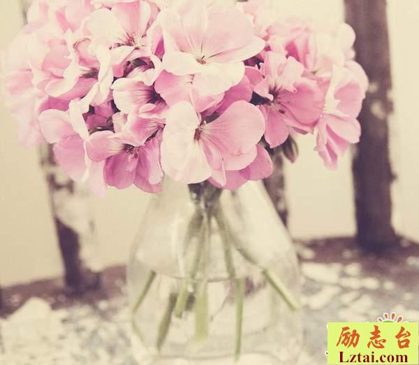 青春逝去满是遗憾的心情说说：总有些勇敢来不及拥有