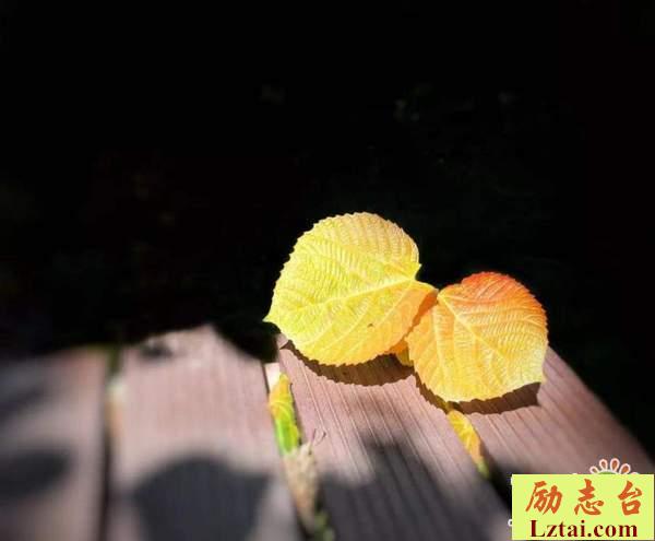 致我们回不去的青春经典语录：愿我一如年少时模样