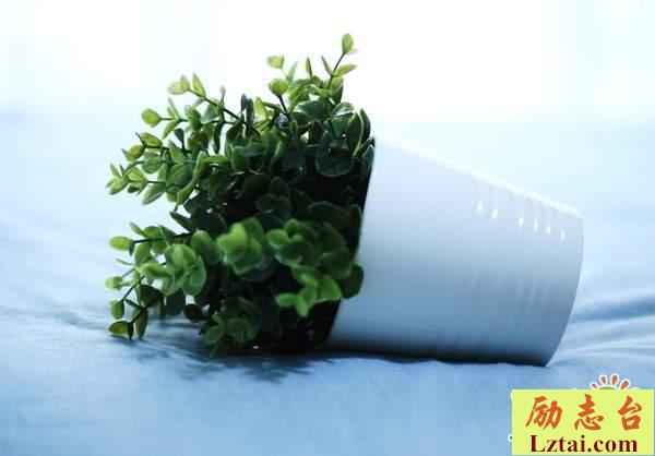 我也曾以为我们会在一起的爱情心酸语录说说大全