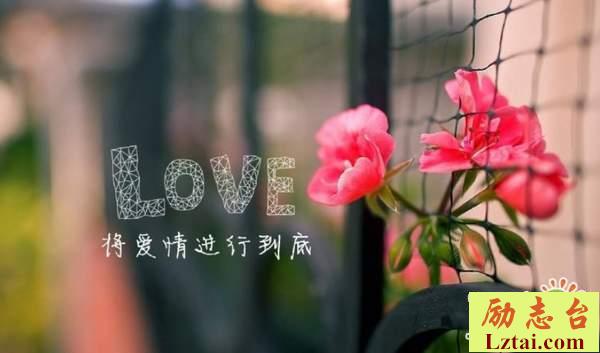 最美三行情诗经典合集大全100首