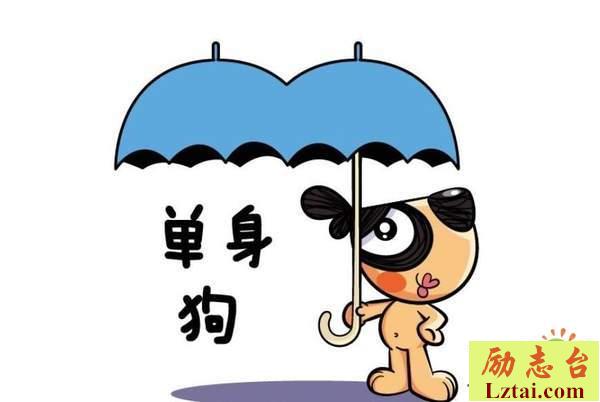 一句话证明你是单身狗的幽默搞笑说说大全