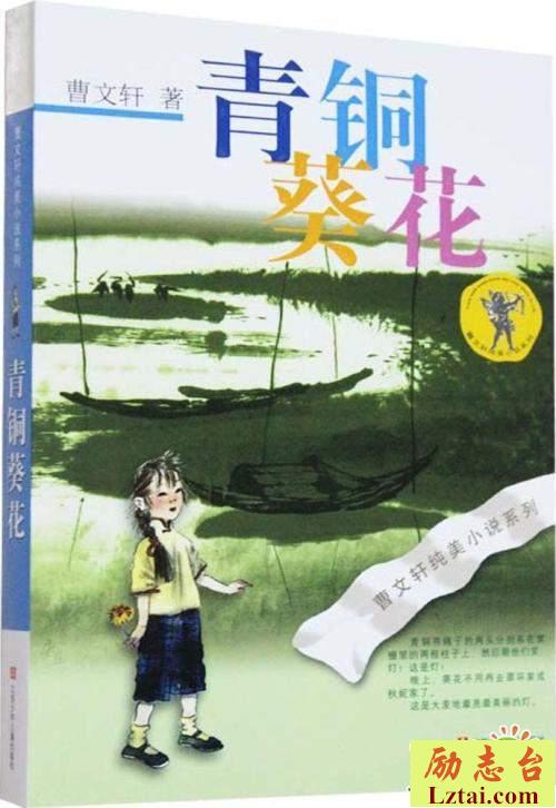 青铜葵花观后感350字