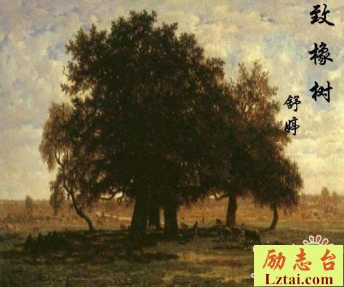 致橡树读后感500字