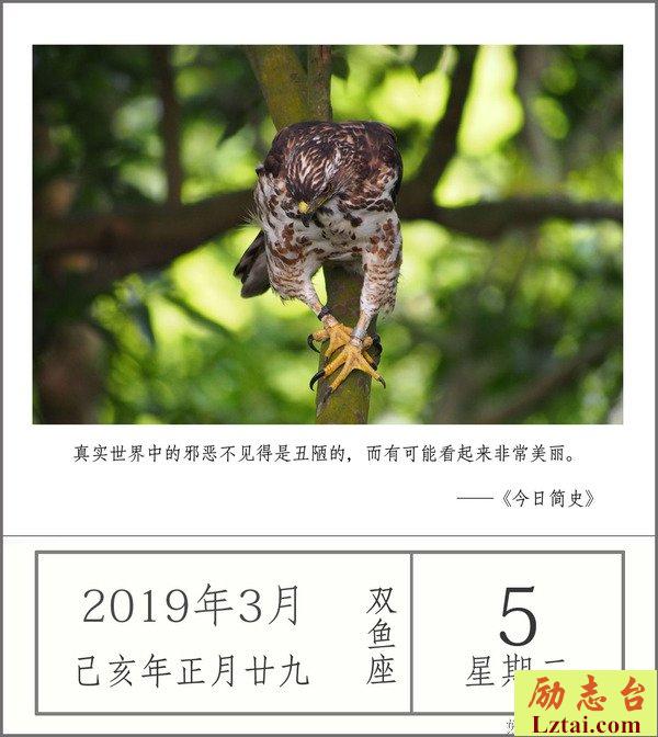 保持专注