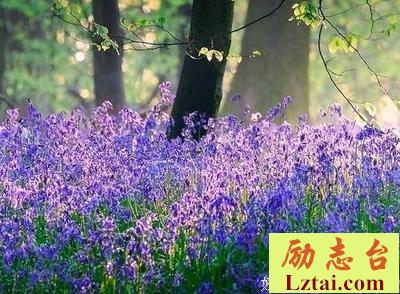 结婚3年儿子1岁，我却想着前男友！