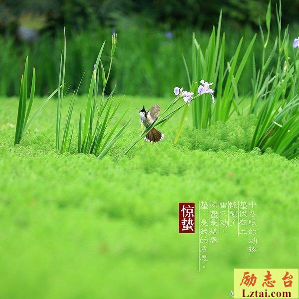 惊蛰。