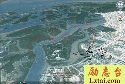给后代留下什么