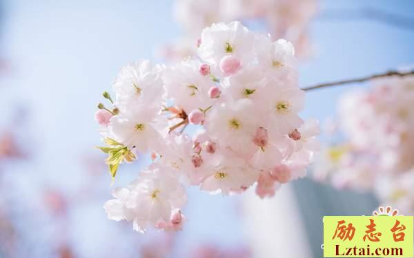 不想长大的唯美句子说说心情：以前无话不说的朋友，如今已经是无话可说
