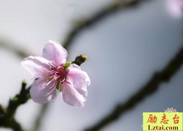 成长意味着失去的说说心情：无论朋友走得多远，我想我也在原点等你