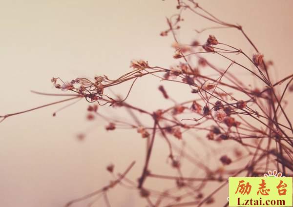 成长意味着失去的说说心情：无论朋友走得多远，我想我也在原点等你