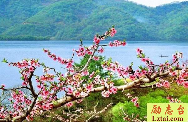 三月春暖花开的说说万物复苏的唯美句子大全