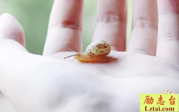 怀念曾经的自己的句子说说心情：现在我们长大了，再也不能放声大哭