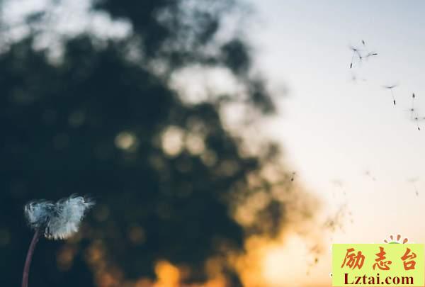 越长大越孤单的说说心情短语感悟人生经典语录