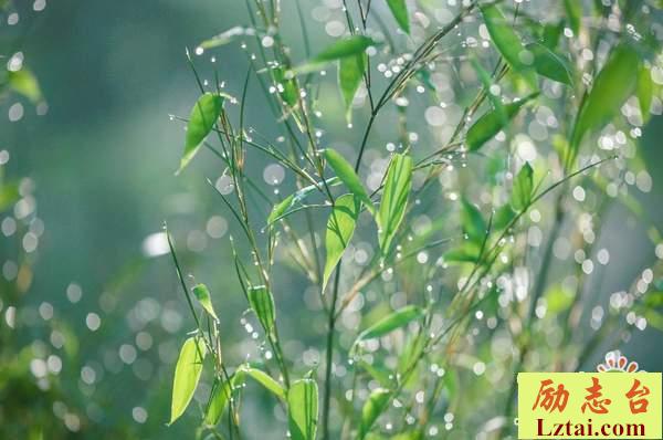 最后我们都变了的说说心情语录：愿每个少年相伴终身的是年少喜欢的那人